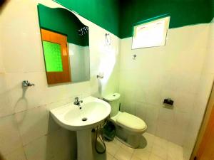 uma casa de banho com um lavatório, um WC e um espelho. em Green Lantern em Ella
