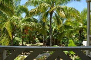 a person standing in front of palm trees at The Edgewater Resort & Spa in Rarotonga
