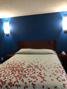 Postel nebo postele na pokoji v ubytování Skyview Motor Inn