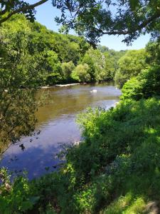 Φωτογραφία από το άλμπουμ του The River's Stones σε Aywaille +12 φωτογραφίες