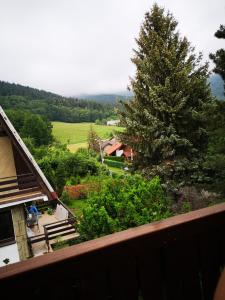 Príroda v okolí penziónu