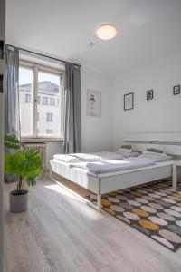 biała sypialnia z łóżkiem i doniczką w obiekcie Apartment in the City Center w mieście Innsbruck