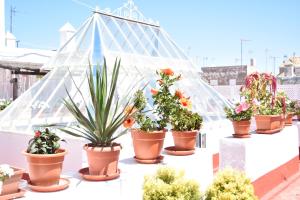 Fotografie z fotogalerie ubytování Apartamento La Discusión de Veedor 12 v destinaci Cádiz