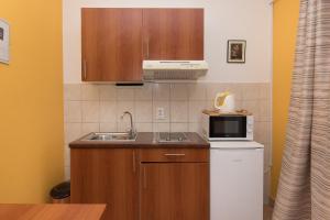Кухня или мини-кухня в Apartments Lovrić
