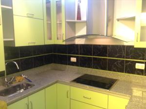 a kitchen with green cabinets and a sink at My Last Resort - Study in Lima