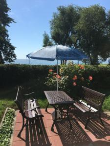 two benches and a table with an umbrella at Kurenas in Juodkrantė