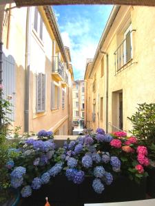 - un bouquet de fleurs violettes et roses dans une cour dans l'établissement Appartement luxe terrasse climatisation centre d Aix, à Aix-en-Provence