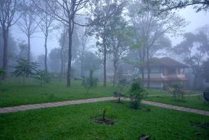 Zahrada ubytování Greenwoods Resort, Thekkady