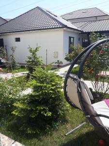 Zahrada ubytování Sunshine Apartments