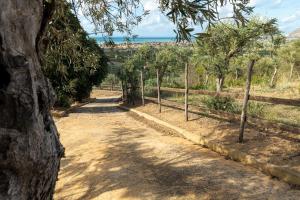 una strada sterrata con alberi e l'oceano sullo sfondo di Solemar Sicilia - Le Casette Di Calzata a Campofelice di Roccella