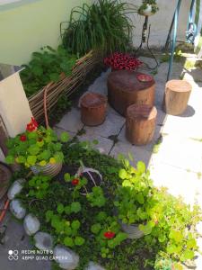 Giardino di Guest House Latali