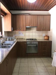 a kitchen with wooden cabinets and a sink and a stove at Pramateftis House in Agros