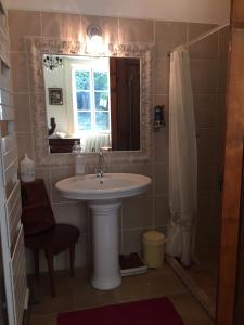 La salle de bains est pourvue d'un lavabo, d'un miroir et d'une douche. dans l'établissement Grande et belle demeure, à Prez-sous-Lafauche