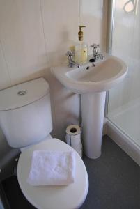 Łazienka z białą toaletą i umywalką w obiekcie Snowdon Cottage 2 w mieście Llanrug