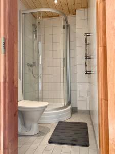 a bathroom with a shower and a toilet and a tub at Centro Apartamentai in Zarasai