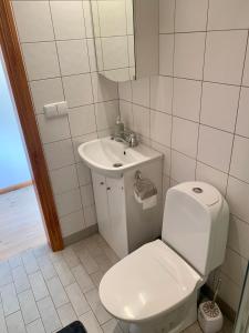 een badkamer met een toilet en een wastafel bij Centro Apartamentai in Zarasai