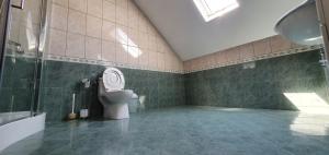 a bathroom with a toilet and a shower at Vila Vasile in Mamaia Sat/Năvodari