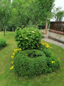 Billede fra billedgalleriet på House Jezerka i Jezerce