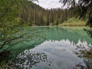 uma vista para um lago no meio de uma floresta em Via stenna em Flims