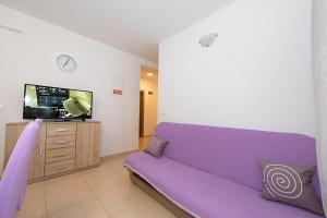 Televízia a/alebo spoločenská miestnosť v ubytovaní Apartmani Vice