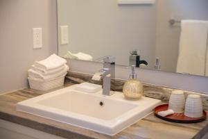 a bathroom with a sink and a large mirror at Downtown Whitehorse 4 bedrooms deluxe condo in Whitehorse