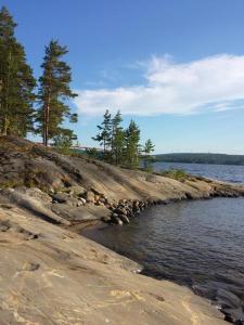 una spiaggia rocciosa con alberi e un bacino d'acqua di Sjövillan Bed & Breakfast a Sandöverken
