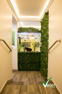 a room with a green wall with a fish tank at Hotel Veler Restaurante in Medellín