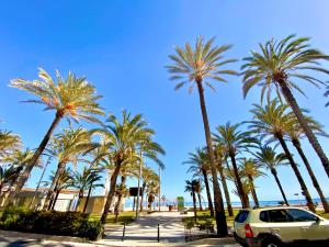 Fotografie z fotogalerie ubytování Nereo 7 Primera Linea de Playa San Juan Piscina, Parking wifi Inmobiliaria Leo v destinaci Alicante