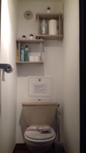 a bathroom with a toilet and shelves on the wall at Studio St Lary proche du centre, au calme avec vue montagne in Saint-Lary-Soulan