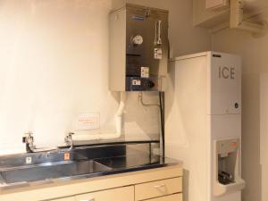 Kuchyň nebo kuchyňský kout v ubytování Nagoya Sakae Green Hotel