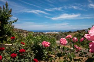 Naturlandskabet i nærheden af lejligheden