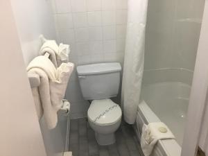 a small bathroom with a toilet and a bath tub at Motel Chantmartin in Tadoussac