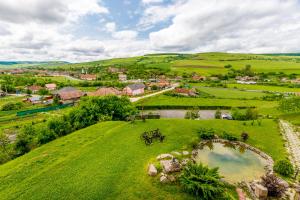 an aerial view of a green hill with a village at Pensiunea Armonia in Nădăşelu