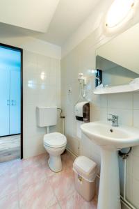 a bathroom with a white toilet and a sink at Pensiunea Armonia in Nădăşelu