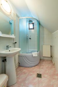 a bathroom with a shower and a sink at Pensiunea Armonia in Nădăşelu