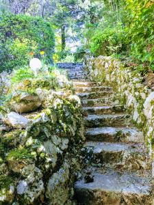 Сад в Joli studio calme parking proche thermes et centre