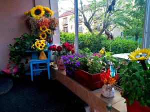 a bunch of flowers in vases next to a window at Villa Victoria in Mosonmagyaróvár