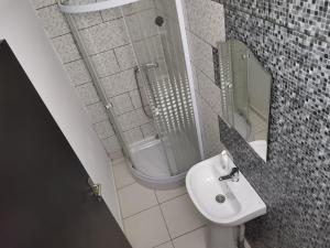 a bathroom with a sink and a shower and a mirror at Natalia Guesthouse in Sărata-Monteoru