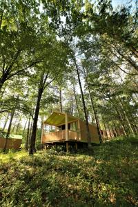 Příroda nedaleko luxury tent