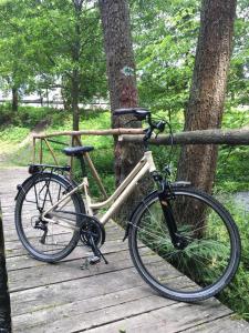 Vožnja bicikla kod ili u okolini objekta Agroturystyka SzumyNowiny