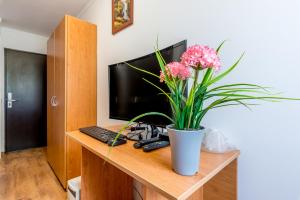 a vase of flowers sitting on a desk with a computer at Pensiunea Armonia in Nădăşelu