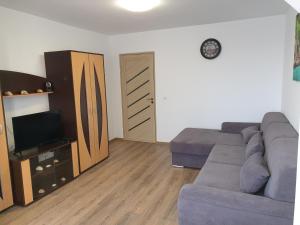 ein Wohnzimmer mit einem Sofa und einem TV in der Unterkunft Apartament Diana in Jurilovca