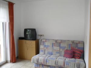 a living room with a couch and a tv at Haus Waldfriede in Pertisau