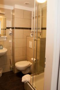 La salle de bains est pourvue de toilettes et d'une douche en verre. dans l'établissement Pension Levi, à Berlin