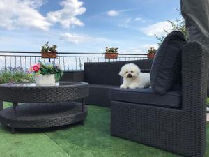 Billede fra billedgalleriet på Apartman Nicole i Mošćenička Draga