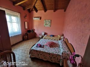 a bedroom with a bed in a room with pink walls at Bed And Breakfast "ANNA" in Bagnara Calabra
