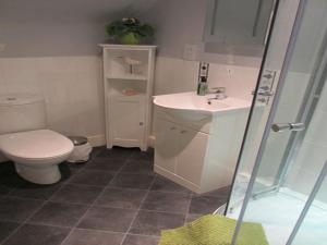 a bathroom with a toilet and a sink and a shower at Strome Lodge in Inverness