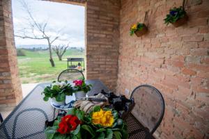 A garden outside Tenuta La Santissima