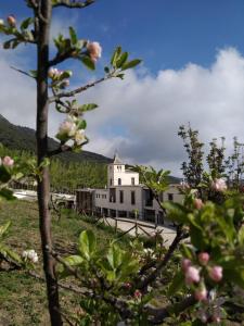 Φωτογραφία από το άλμπουμ του Hotel Apartamento Nueva Alcazaba σε Busquístar