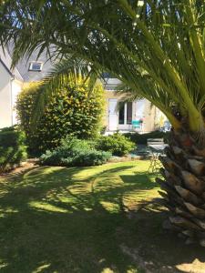 a palm tree in a yard next to a house at Côté jardin des Charmilles in Quettehou